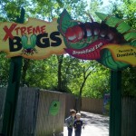 IMG_20120516_115433