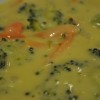 broccoli cheese soup