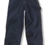 carhartt jeans