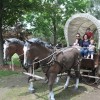 donleys wild west town 55
