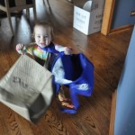 bag lady 2
