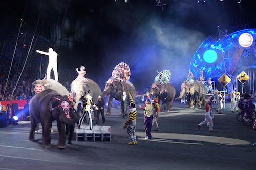 ringling bros circus 4