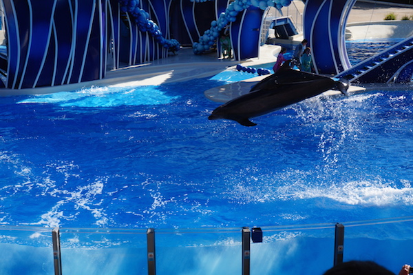 sea world orlando 15