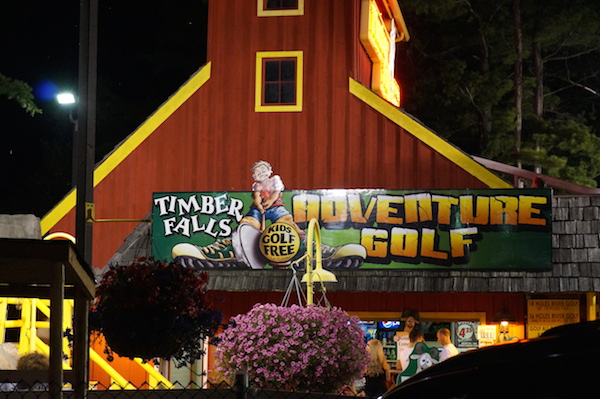 timber falls adventure park dells 1