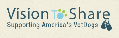 vision to share logo