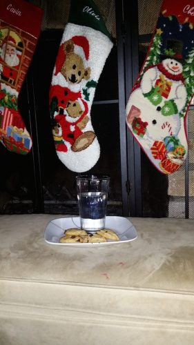 water for santa