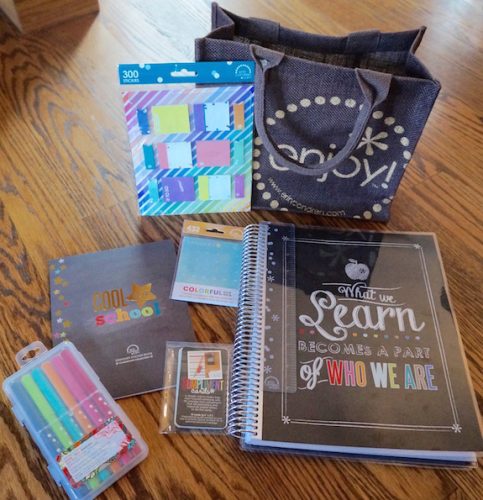 Teacher Accessories Bundle by Erin Condren