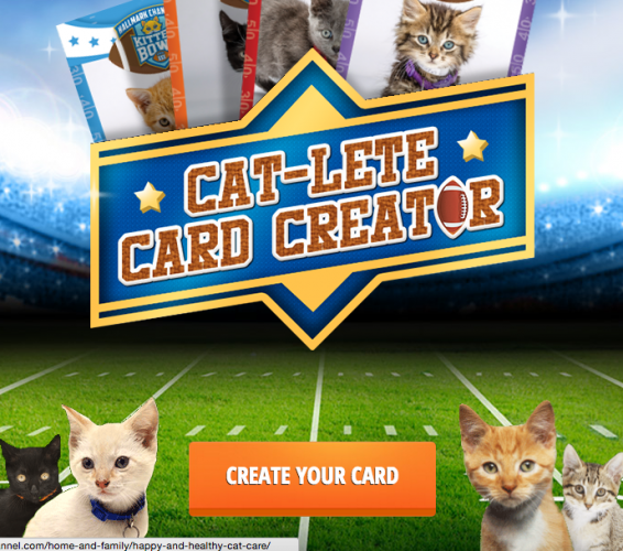 kitten card