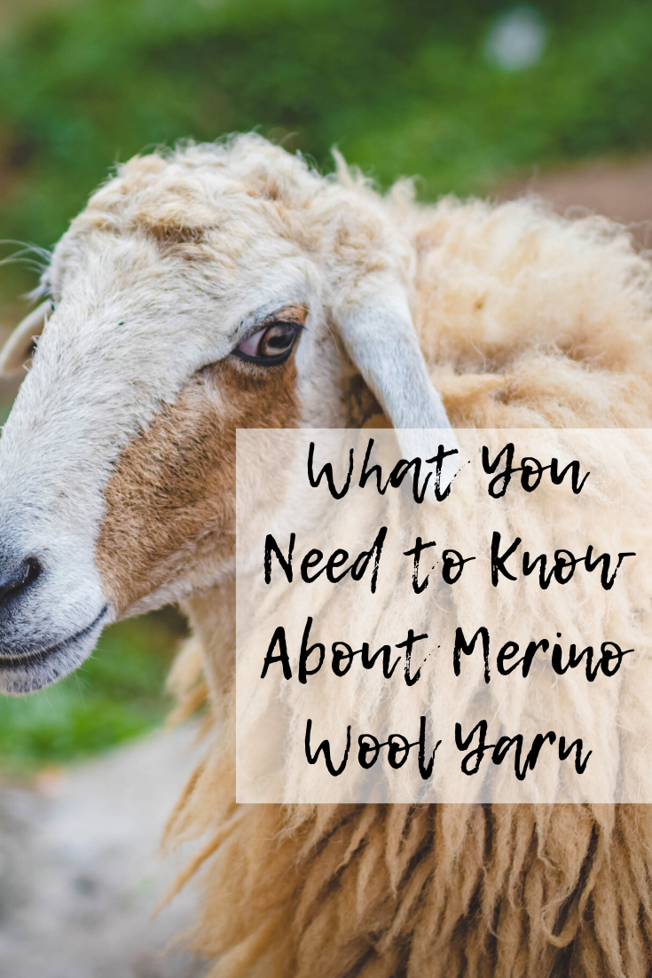 What You Need to Know About Merino Wool Yarn - Mom and More