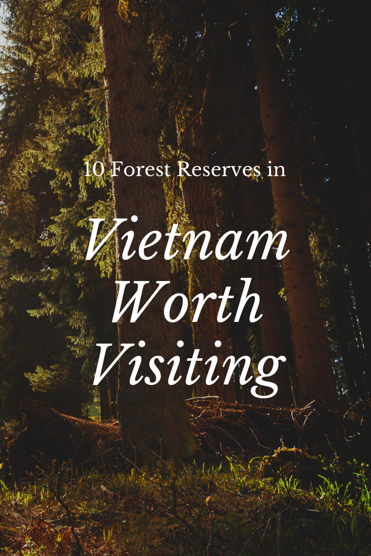 10 Forest Reserves in Vietnam Worth Visiting Mom and More