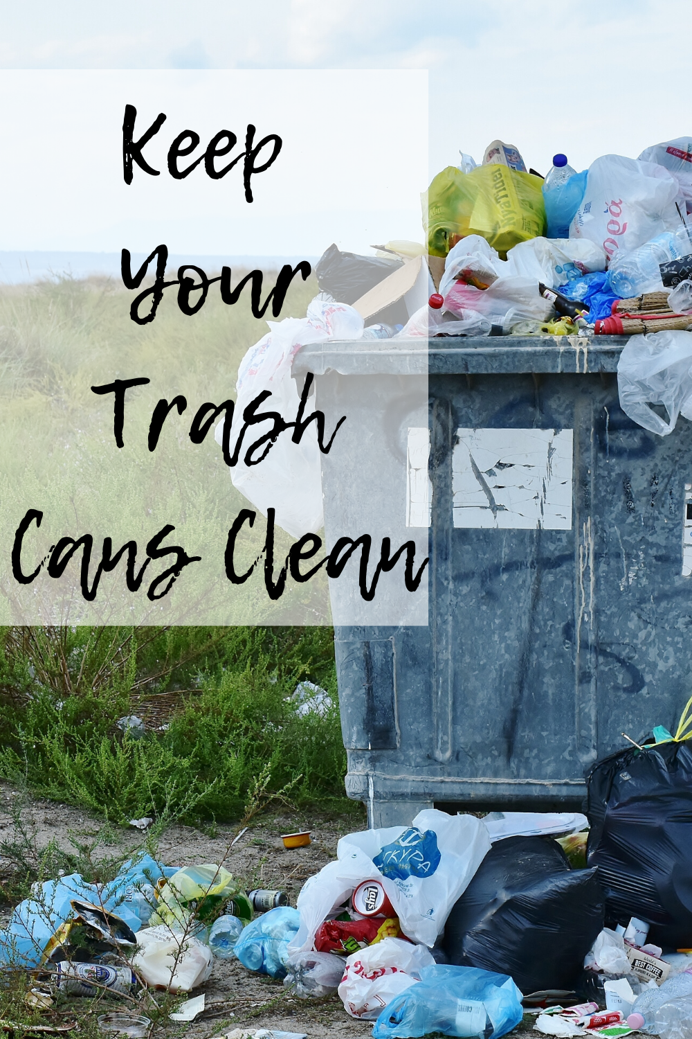 https://momandmore.com/wp-content/uploads/2020/02/Keep-Your-Trash-Cans-Clean-Even-If-they-are-Meant-for-Trash.png