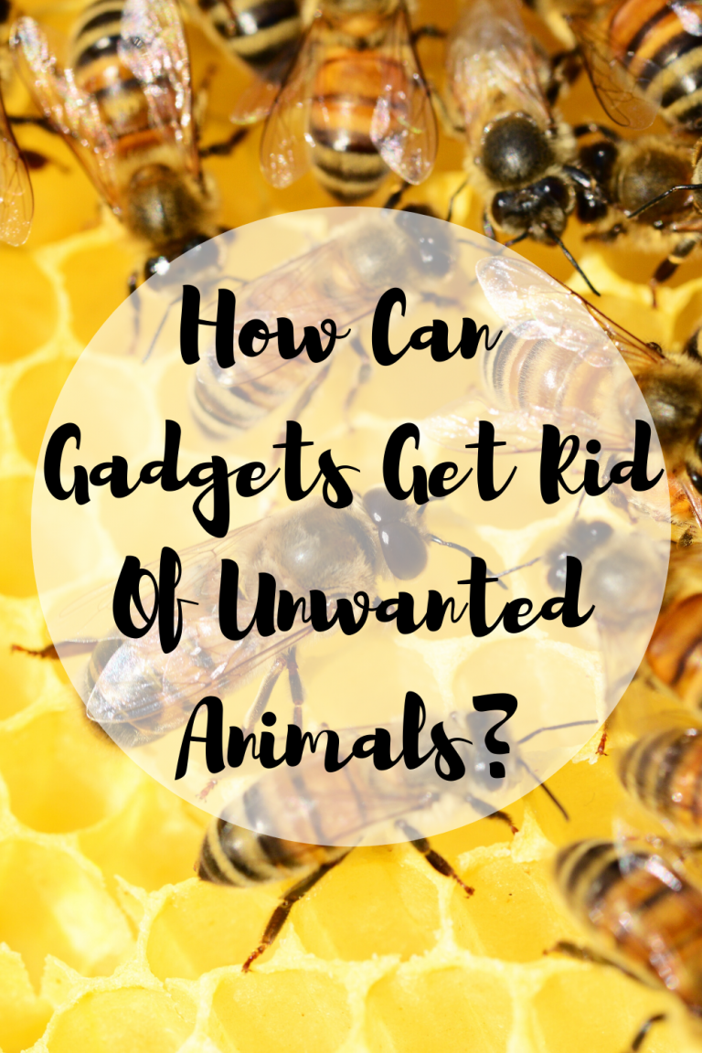 how-can-gadgets-get-rid-of-unwanted-animals-mom-and-more