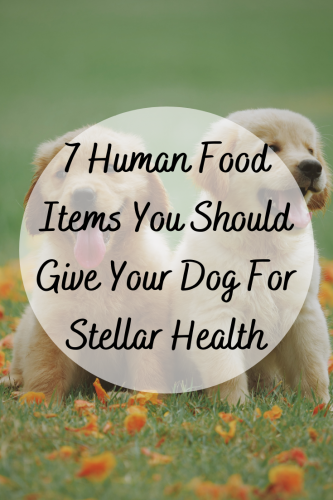 What is the best human food for clearance dogs