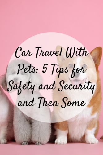 Car Travel With Pets: 5 Tips for Safety and Security and Then Some