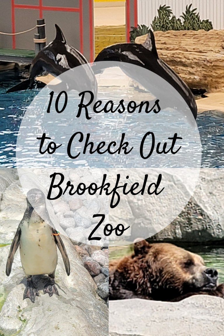 10 Reasons to Check Out Brookfield Zoo {Brookfield, IL} Mom and More