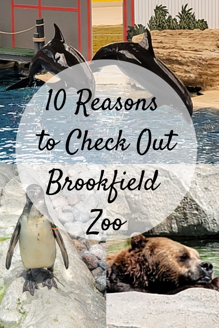 brookfield zoo tickets discount groupon