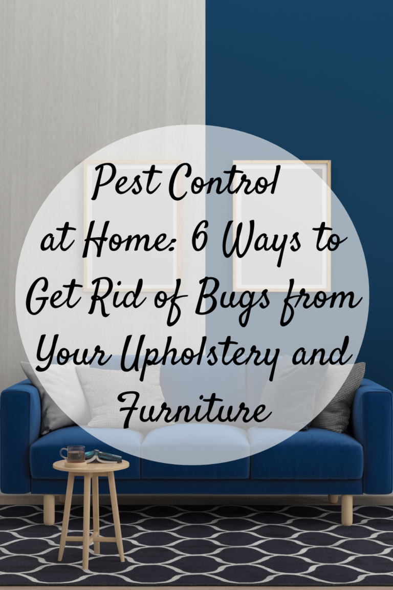 how-to-get-rid-of-bugs-on-patio-furniture-naturally-bugwiz